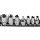 Spitzenset TORX  1/4" und 3/8", 9 Stck., CrV50BV30